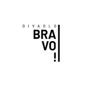 Divadlo Bravo